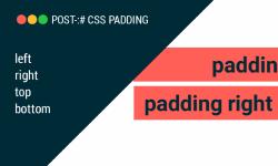 Featured image of post CSS Padding